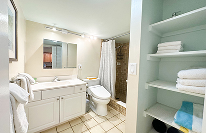 Modern Granite Bathroom w/ Walk-in Shower