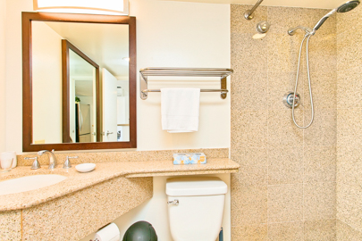Granite Shower
