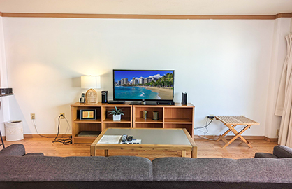 Living Area with Flat TV