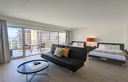 Spacious Living / Bedroom area                    