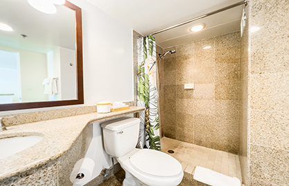 Granite Bathroom w/ Walk-In Shower