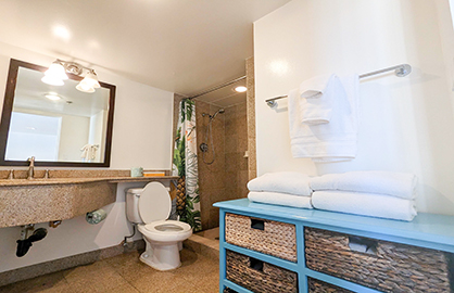 Granite Bathroom w/ Walk-In Shower