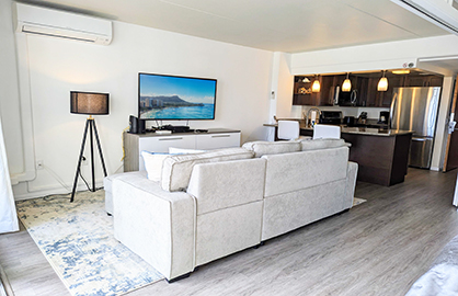 Living Area w/Sofa Bed and Split AC               