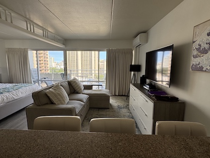 Living Area w/Sofa Bed and Split AC               