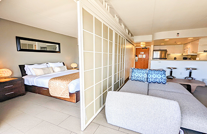 Privacy Wall between Living and Bed Area