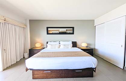 Large Comfy King Bed and Extra Closet