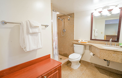 Granite Bathroom