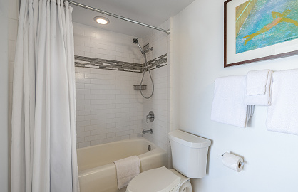 Bathtub and Shower in Master Bathroom