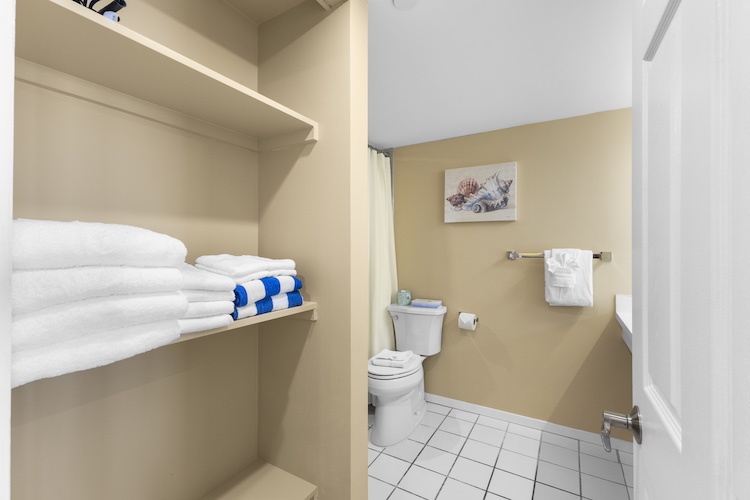 Shelves in the Bathroom                           