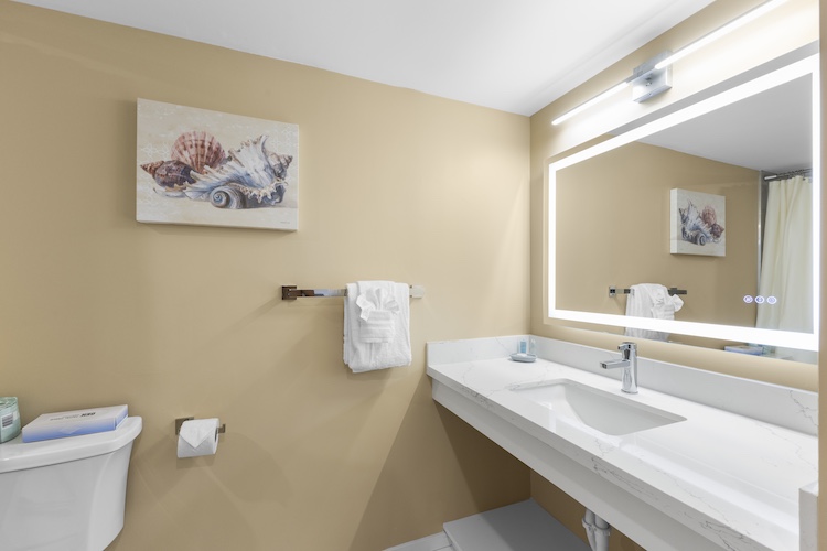 Elegant Modern Bathroom