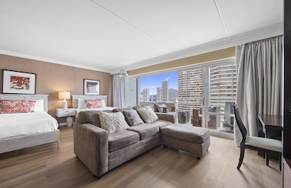 Open Living and Sleeping Area