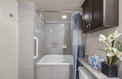 Rare Japanese Soaking Tub