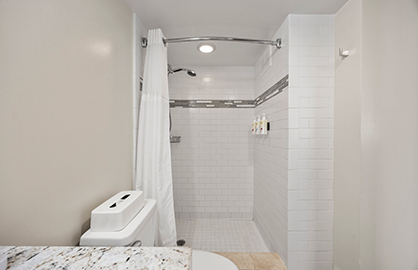 Shower and Bath Area