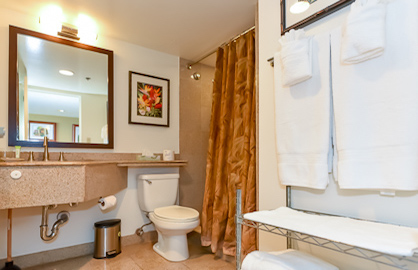 Granite Walk In Shower