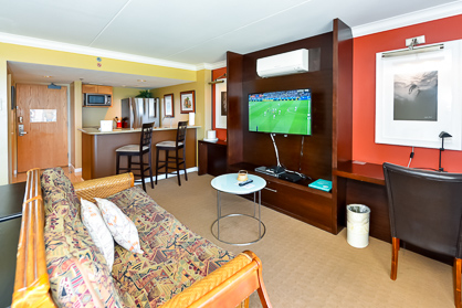 Flat Screen TV - Split AC                         