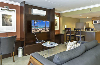 Internet Desk - Flat Screen TV                    