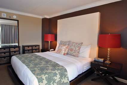 Comfy King Bed                                    