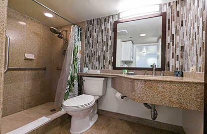 Modern Granite Bathroom (Handicap Accessible)