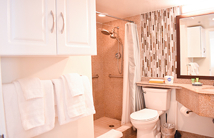 Modern Granite Bathroom (Handicap Accessible)