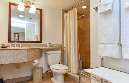 Granite Walk-in Shower                            