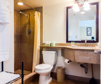 Modern Granite Bathroom                           